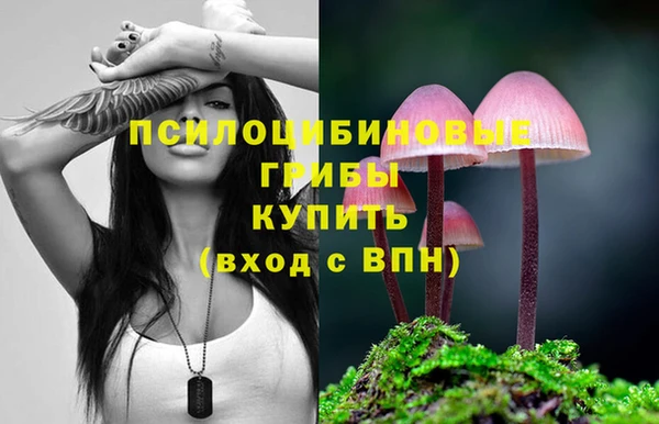 гидропоника Балахна